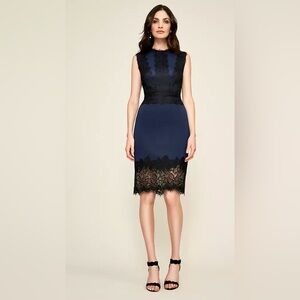 Tadashi Shoji Milo Dress NWT